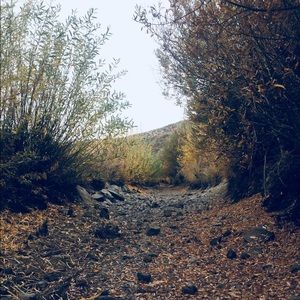 Meet your Posher, Liz